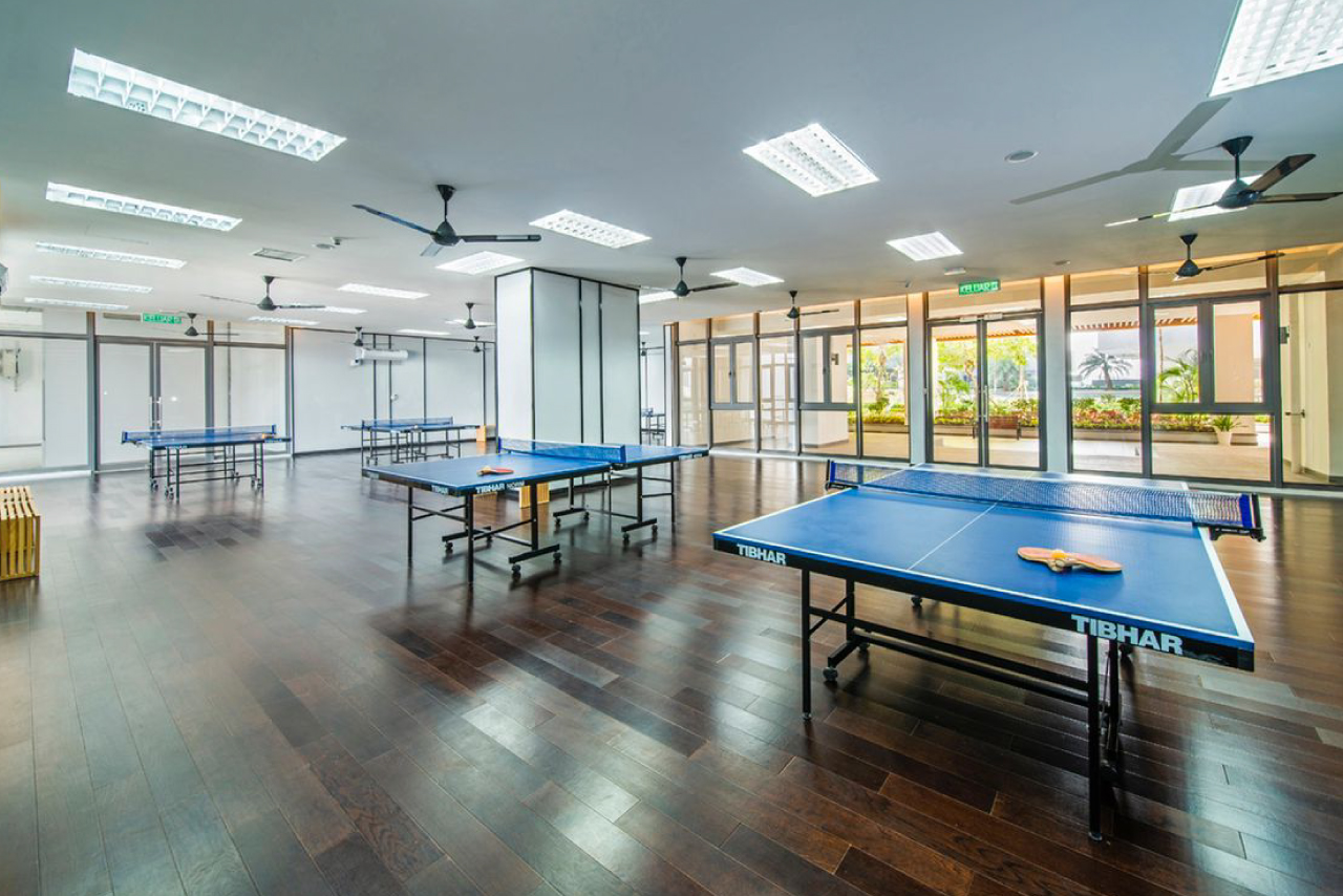 pingpong